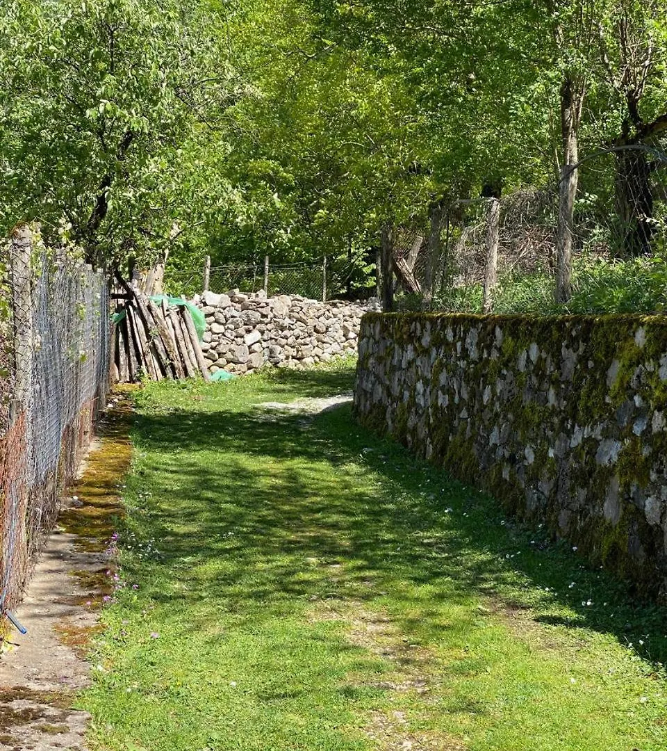 Gasthof Guesthouse Sibora Valbone
